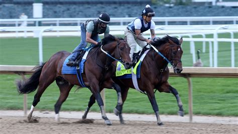 2022 preakness stakes entries|Preakness Stakes post positions: Full draw & odds for the 2022 .